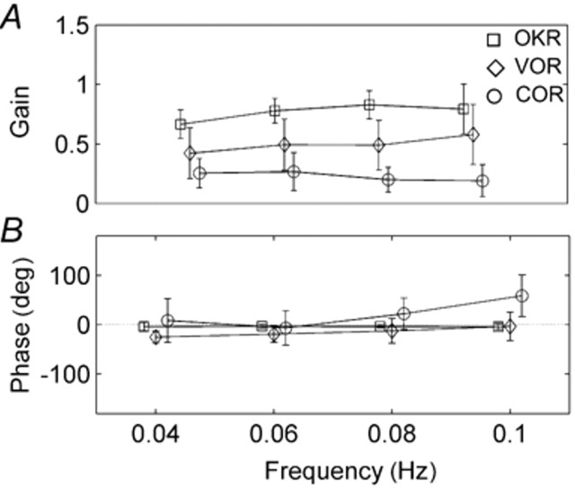 Mean amplitudes of reflex responses at different sinusoid stimulus frequencies. Gain of COR is lowest (VOR low at slow frequencies but increases with higher frequencies). Phase of VOR and COR are more variable and COR lags behind trunk rotation at higher frequencies.  With old age, VOR and OKN gain decrease; there is a compensatory increase in COR gain, as there is after vestibular  dysfunction.  